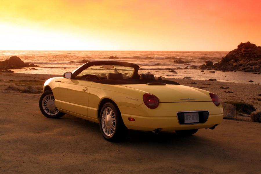  Ford Thunderbird 2002 года  (фото 113 из 161)